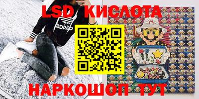 гидропоника Бийск