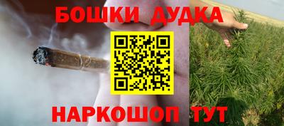 гидропоника Бийск